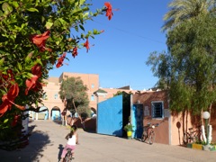 P1010815.JPG