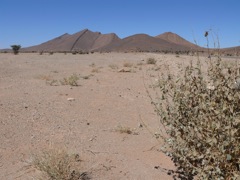 P1010867.JPG