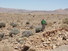 PICT3034.JPG