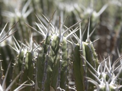 PICT3042.JPG