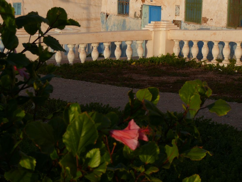 P1020023.JPG