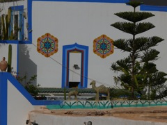 P1020007.JPG