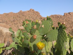 P1020126.JPG