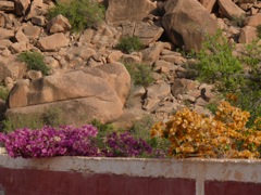 P1020130.JPG