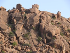 P1020137.JPG