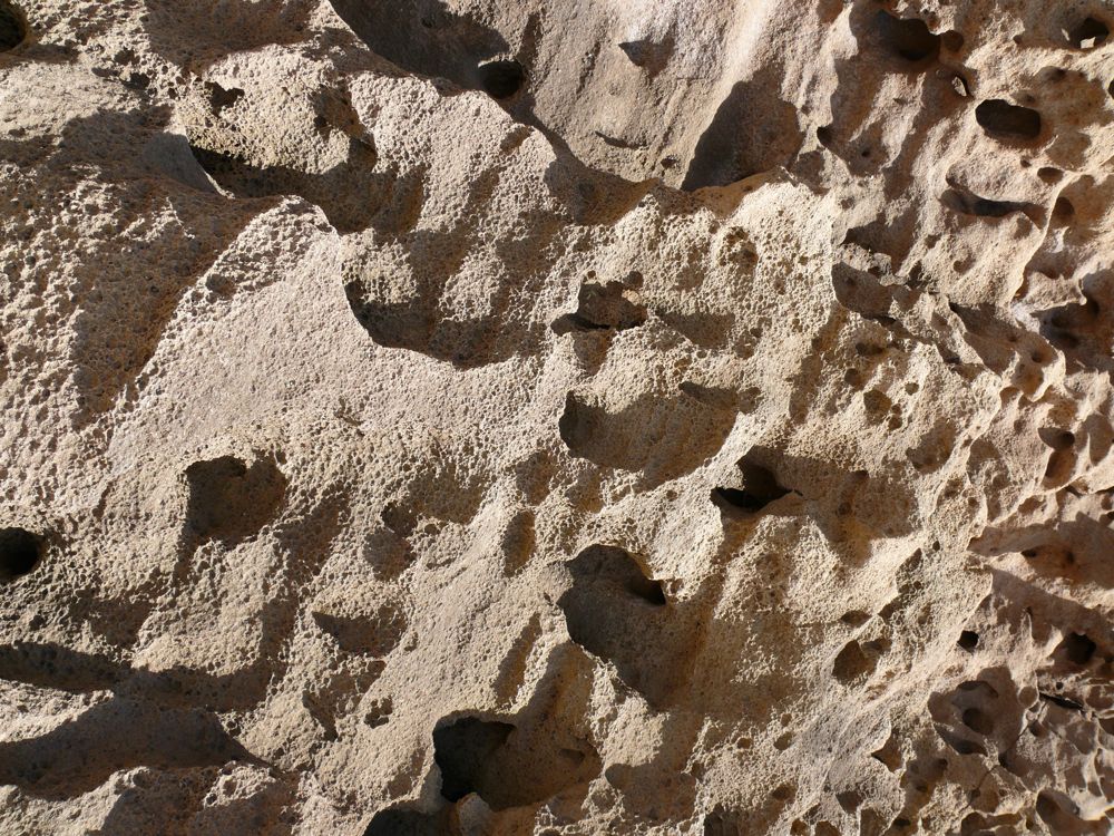 P1020312.JPG