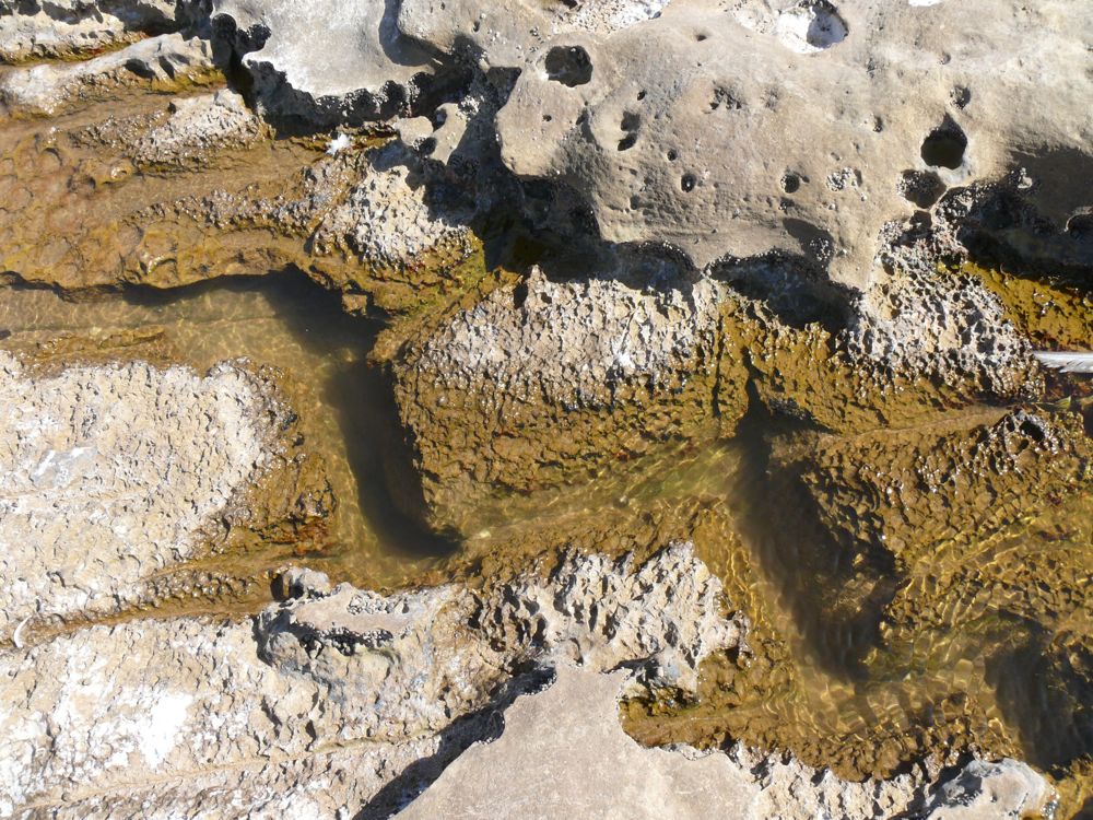 P1020320.JPG