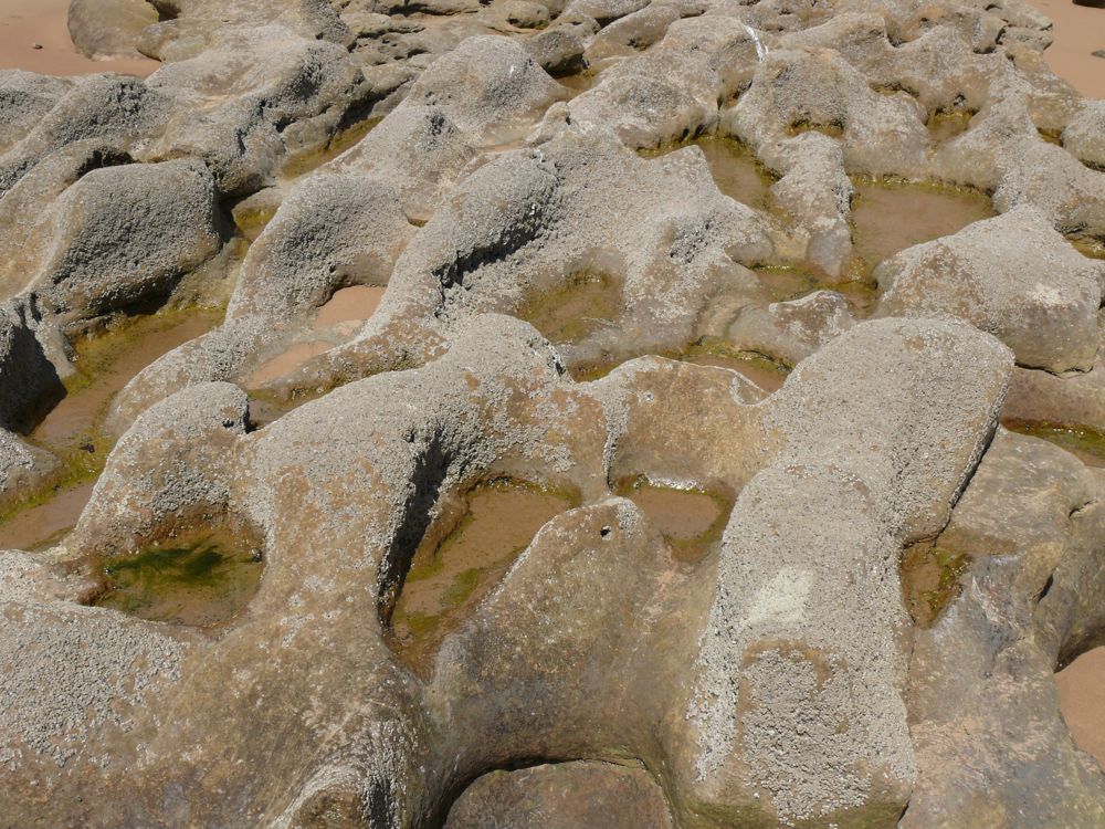 P1020303.JPG