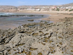 P1020316.JPG