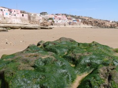 P1020304.JPG