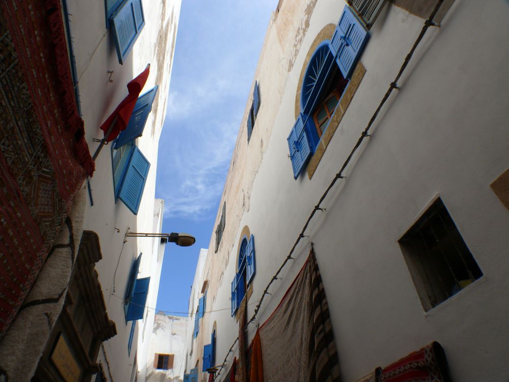 P1020417.JPG