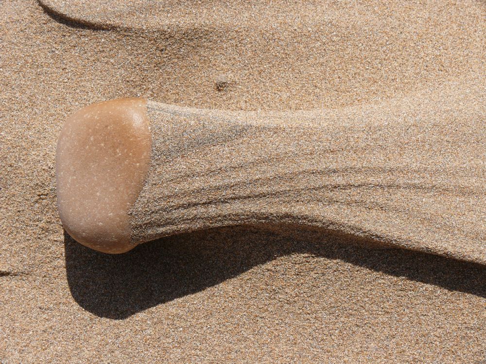 P1020344.JPG