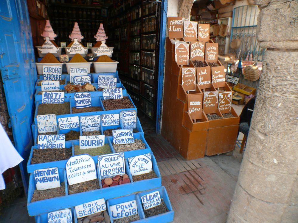 P1020452.JPG