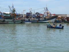 P1020373.JPG