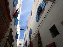 P1020417.JPG