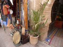 P1020420.JPG
