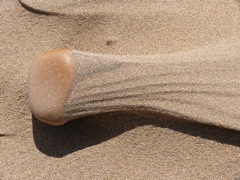 P1020344.JPG