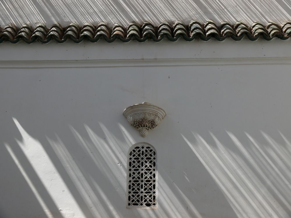 P1020519.JPG