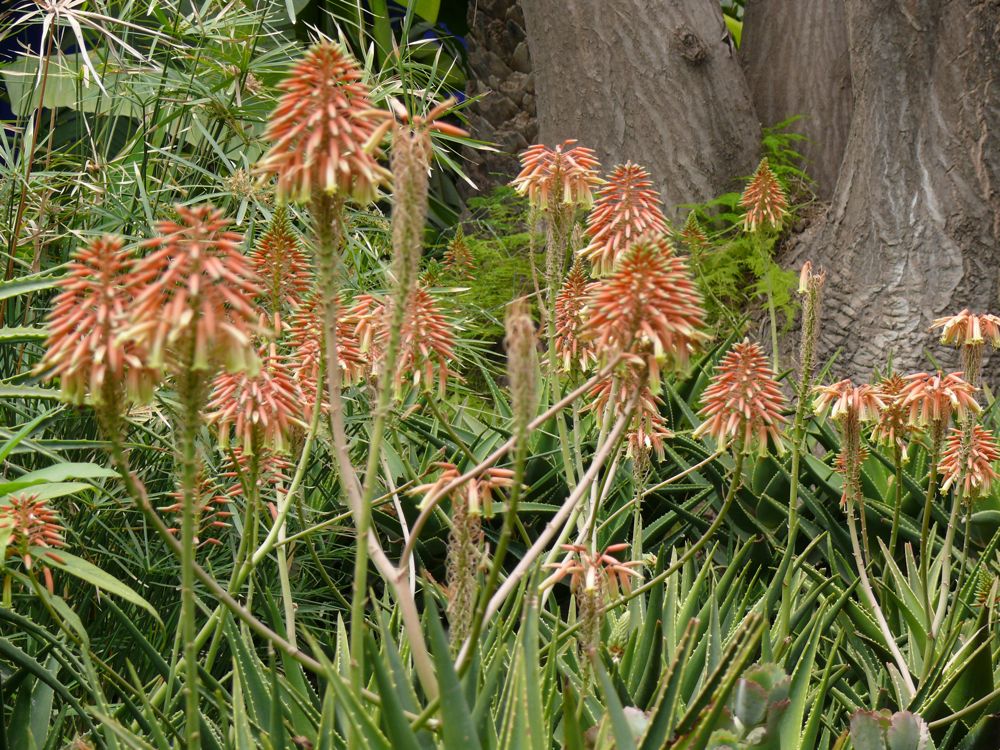 P1020575.JPG