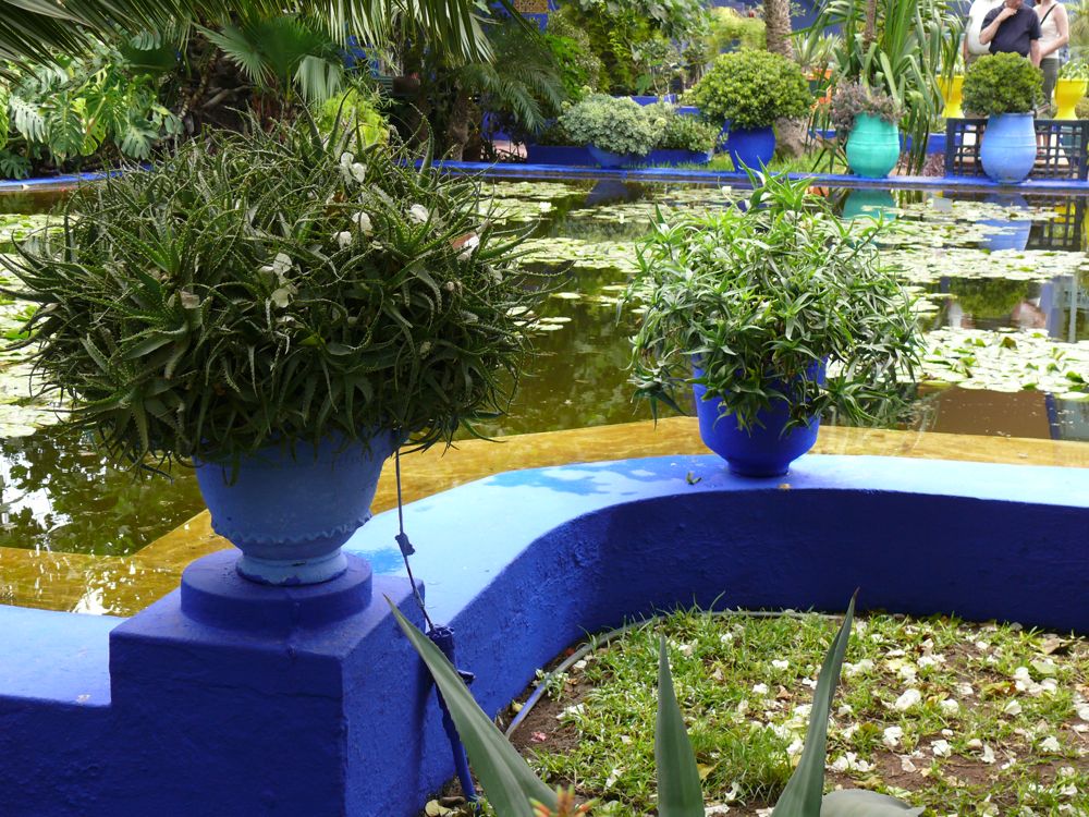 P1020585.JPG
