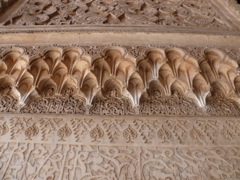 P1020476.JPG
