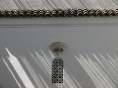 P1020519.JPG