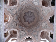 P1020547.JPG