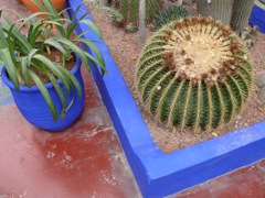 P1020577.JPG