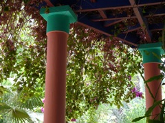 P1020587.JPG