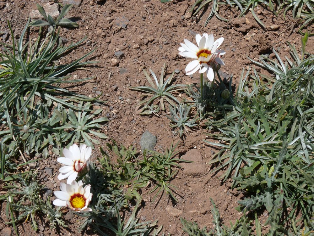P1020610.JPG