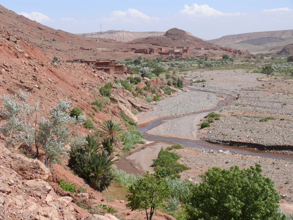 P1020635.JPG