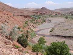 P1020635.JPG