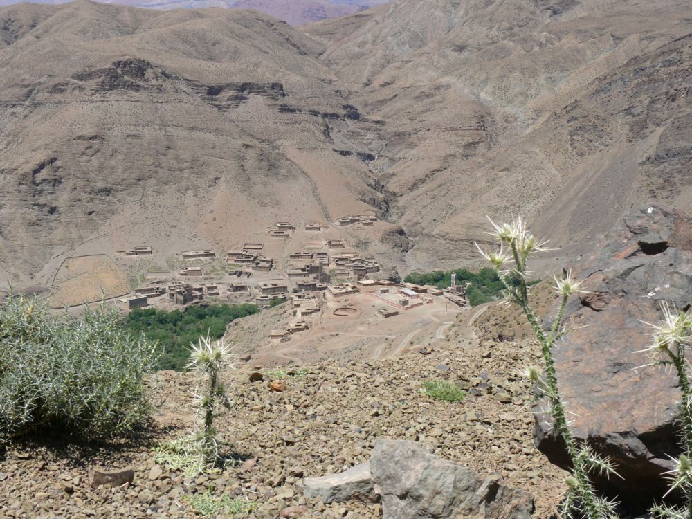 P1020646.JPG