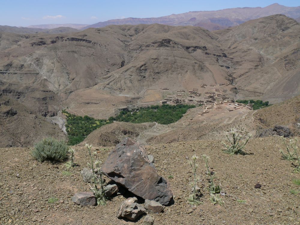 P1020645.JPG
