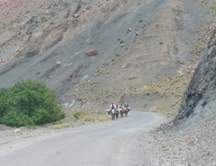 P1000230