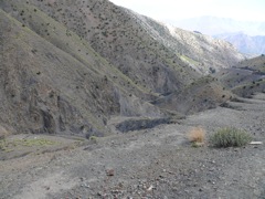 P1020677.JPG