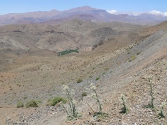 P1020643.JPG