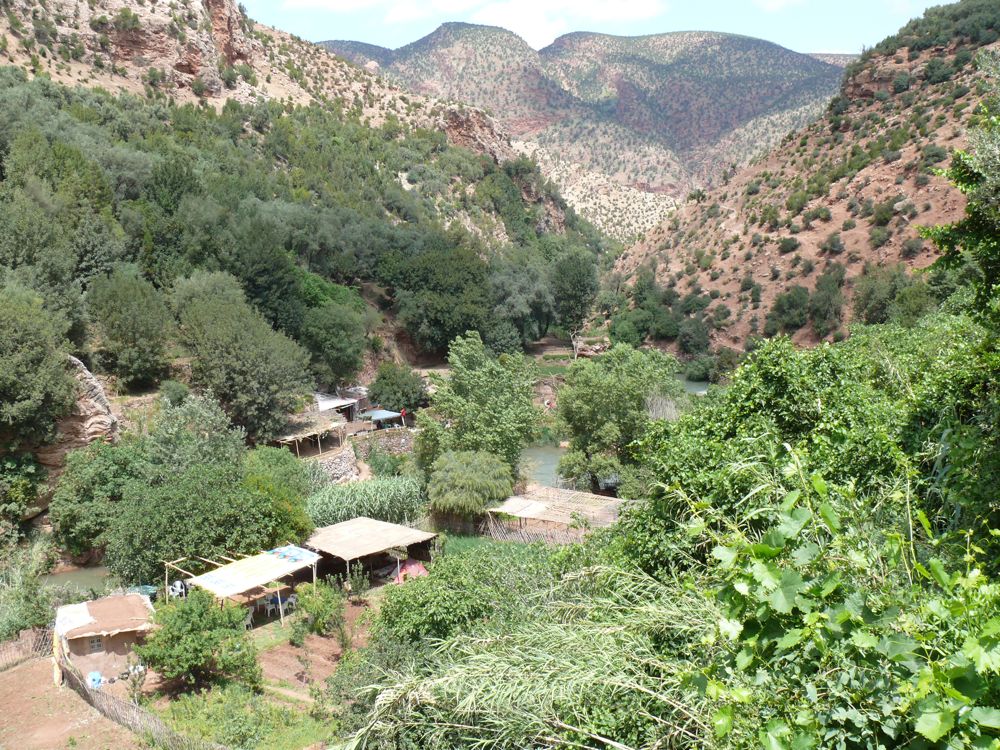 P1020749.JPG
