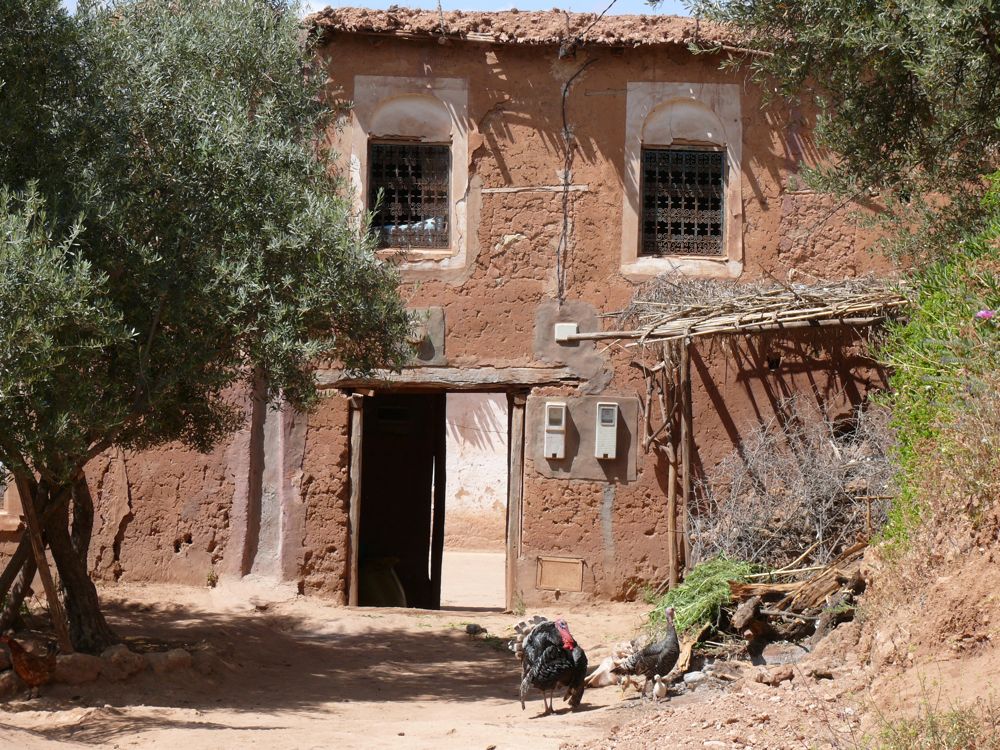 P1020783.JPG