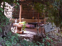 P1020748.JPG