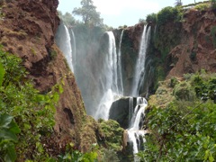 P1000247