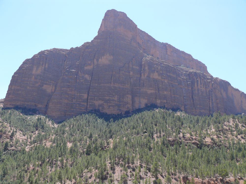 P1020845.JPG