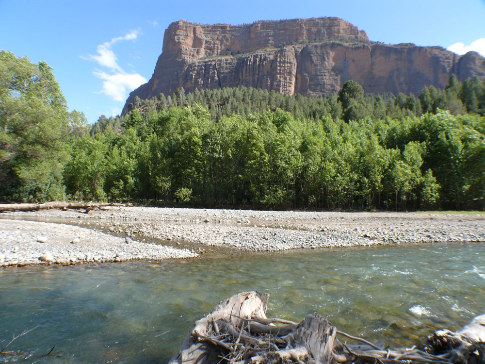 P1020854.JPG
