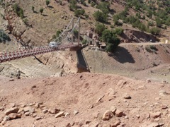 P1000266
