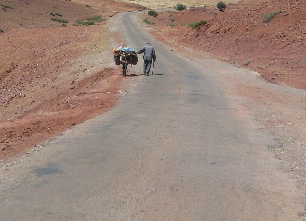 P1000294