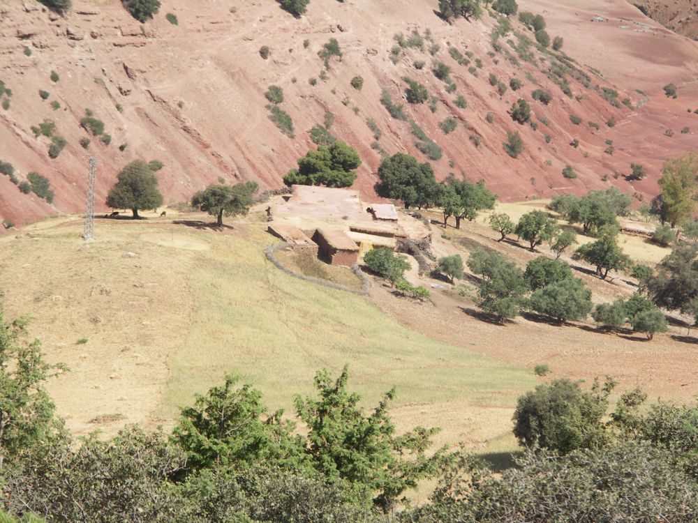 PICT3128.JPG