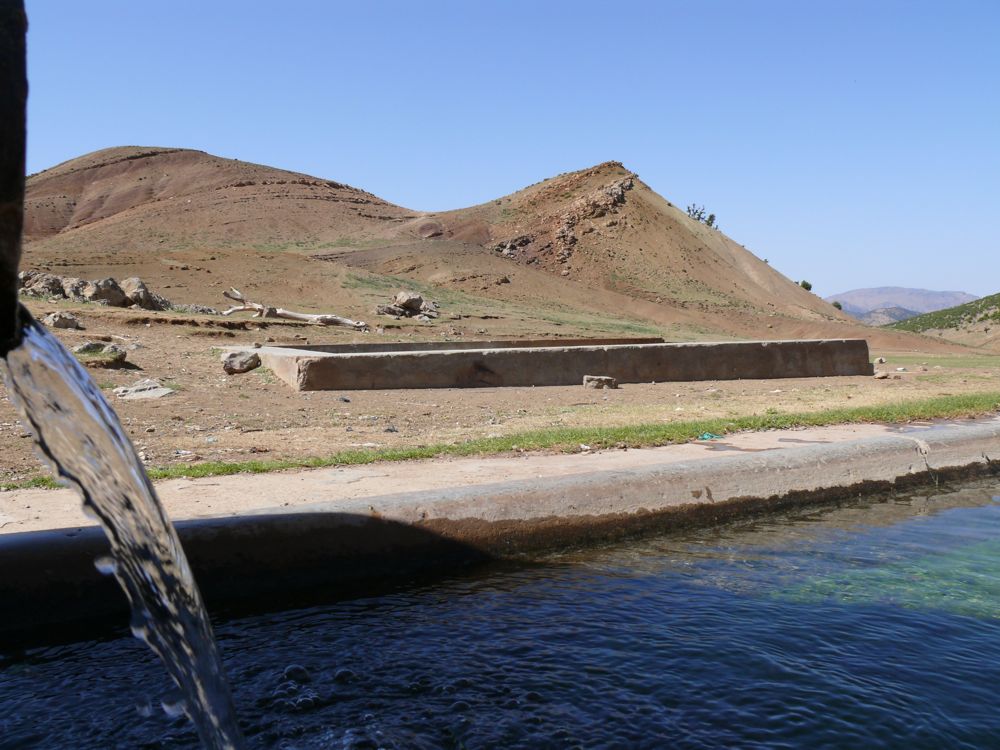 P1020910.JPG