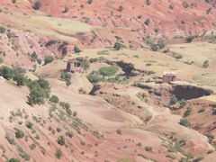 PICT3130.JPG