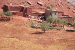 PICT3133.JPG