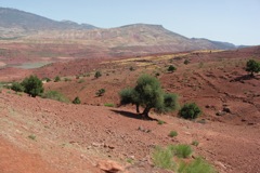 PICT3134.JPG